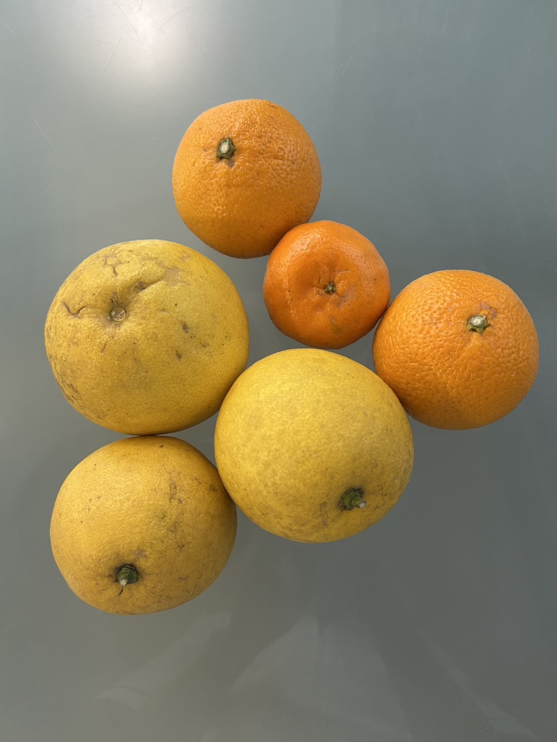 元気に診療頑張ります(^^)